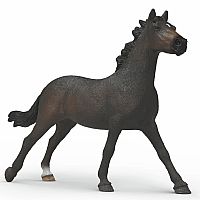 English Thoroughbred Mare