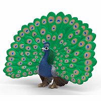 Peacock Figure