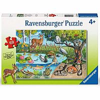 Animals Above and Below - 60 Piece Puzzle