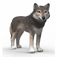 American Wolf