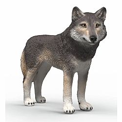 American Wolf