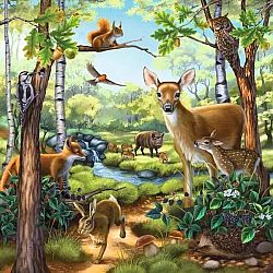 Forest, Zoo, & Domestic Animals - Three 49 Piece Puzzles