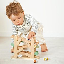 Wooden Ant Racing Ramp