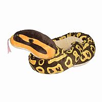 Eco Ball Python