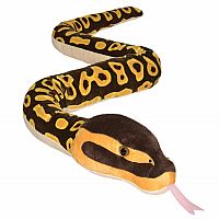 Eco Ball Python