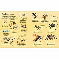 Big Book of Big Bugs