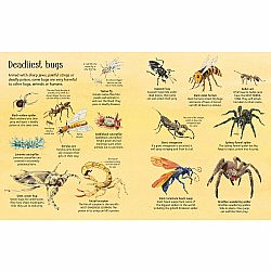Big Book of Big Bugs