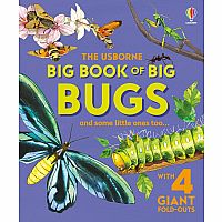 Big Book of Big Bugs