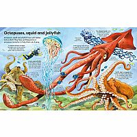 Big Book of Big Sea Creatures