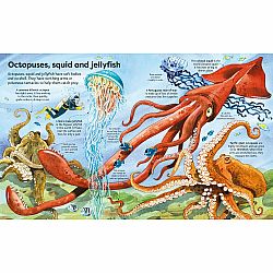 Big Book of Big Sea Creatures