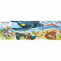 Big Book of Big Sea Creatures