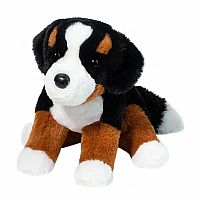 Bowie Bernese Mountain Dog