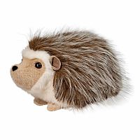 Bristle Hedgehog