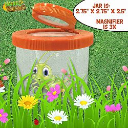Nature Bound Bug Viewer