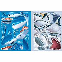 Build Your Own Sharks Sticker Book