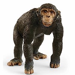Chimpanzee Figure