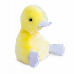 CoinCoin Chicky Duck Large
