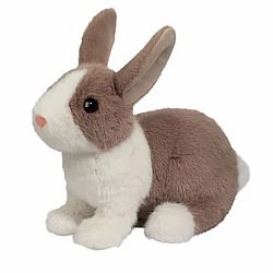 Daffodil Dutch Bunny