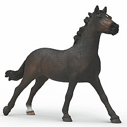 English Thoroughbred Mare