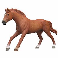 English Thoroughbred Stallion