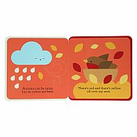 A First Felt Book: Rain and Shine