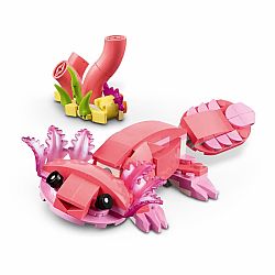 Wild Animals Pink Flamingo