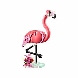 Wild Animals Pink Flamingo
