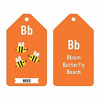 Flash Cards ABC of the Earth