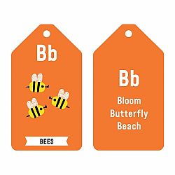 Flash Cards ABC of the Earth