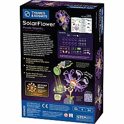 Solar Flower Purple Majestic
