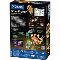 Solar Flower Golden Sunrise
