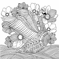 Adult Coloring Book - Follow Your Dreams