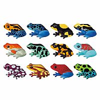 Tropical Frogs Shaped Memory Match