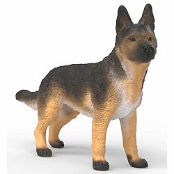 German Shepherd Female