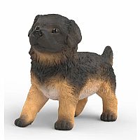German Shepherd Puppy