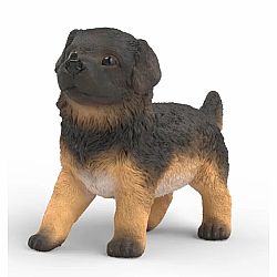 German Shepherd Puppy