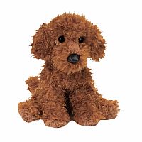 Ginger Miniature Poodle