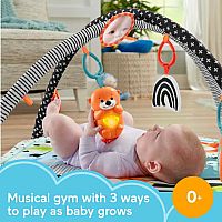3 in 1 Music Glow & Grow Gym