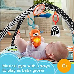3 in 1 Music Glow & Grow Gym
