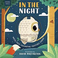In The Night