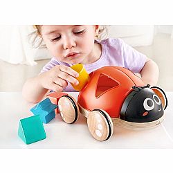 Shape-Sorter Ladybug