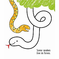 Little Coloring Zoo Animals