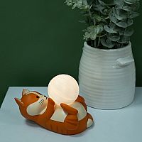 Nacho the Cat Mood Light