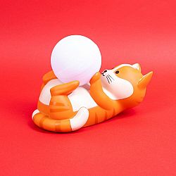 Nacho the Cat Mood Light