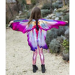 Ombre Butterfly Soft Wings