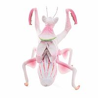 Orchid Mantis Puppet