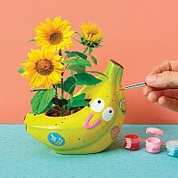 Paint & Grow Banana Kit