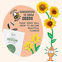 Paint & Grow Banana Kit