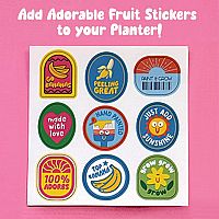 Paint & Grow Banana Kit