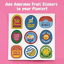 Paint & Grow Banana Kit
